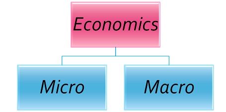 Difference Between Micro and Macro Difference Between