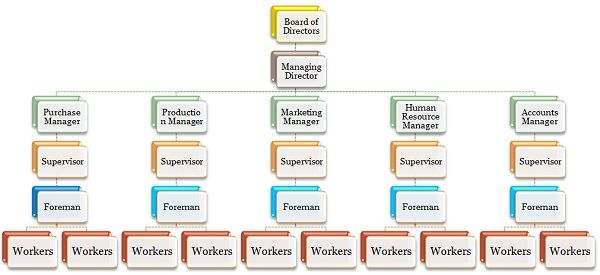 Compare and Contrast Different Structure of Organisation