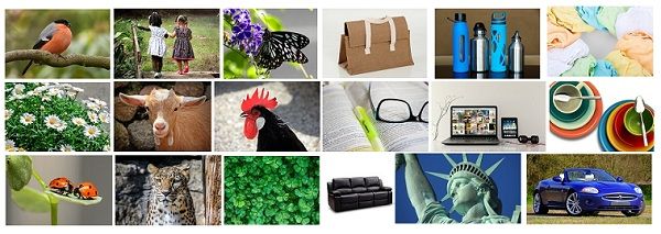 Difference Between Living And Non Living Things with Comparison Chart 