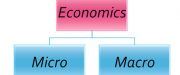 Micro Vs Macro Economics