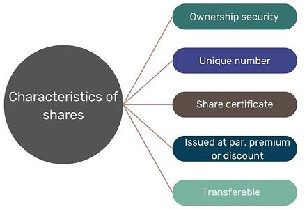 characteristics-of-shares