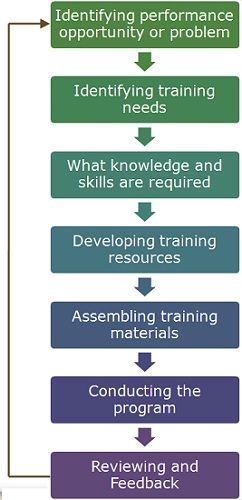 Employee Training Development Flow Chart