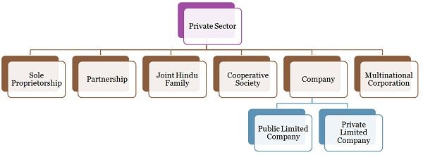 examples of public sector