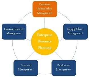 Erp Organizational Chart