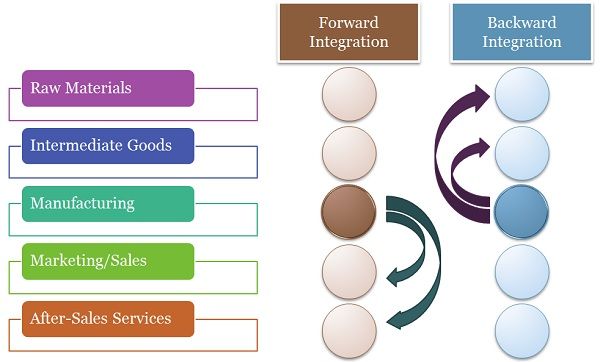 difference between horizontal and vertical organization