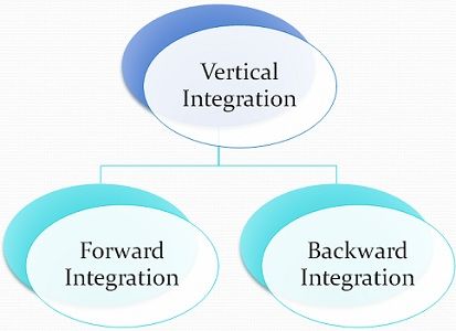 difference between horizontal and vertical organization