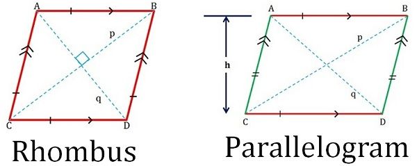 kite shape vs rhombus