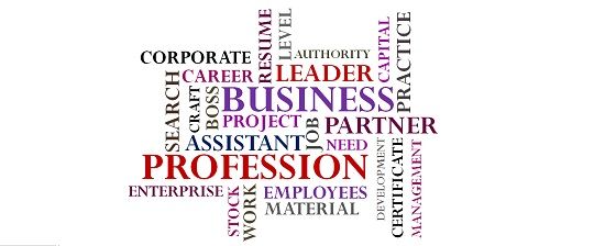 Comparison Of Business Professions Employment Concepts Examples