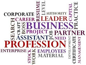 business vs profession