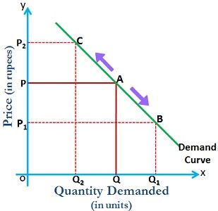 What Is a Demand Curve? (Definition, Importance and Example)