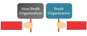 profit vs non profit organization