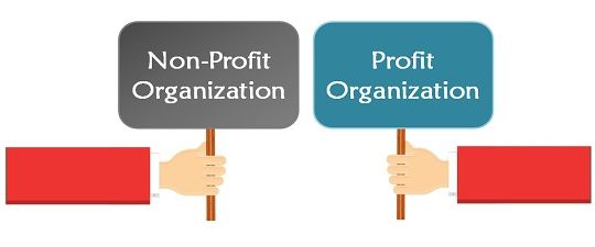 What is the Role of Non-Profit Organizations in Society