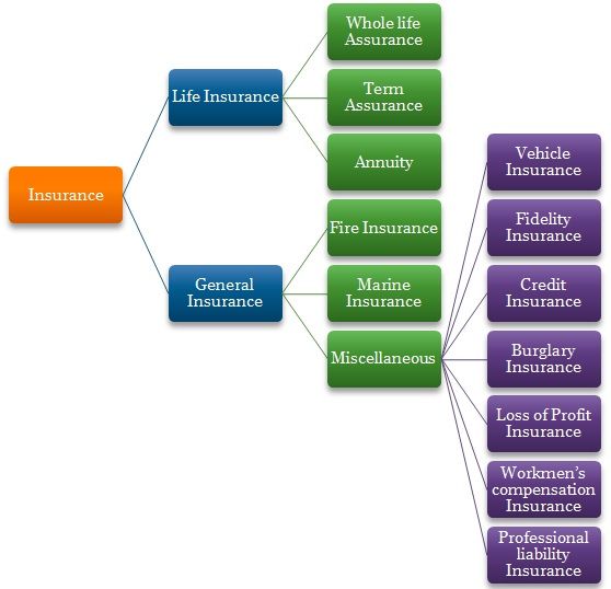 Chart Comparing Different Types Of Life Insurance