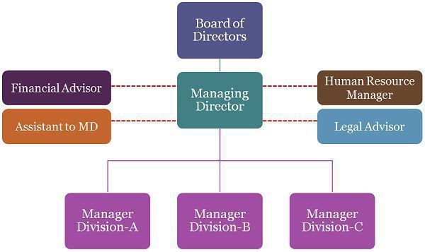 graphic presentation of line and staff organization