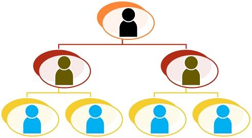 Horizontal Linkages In Organisation Chart Indicate