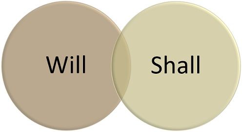 Difference Between Will And Shall with Examples And Comparison Chart 