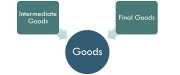 intermediate goods vs final goods