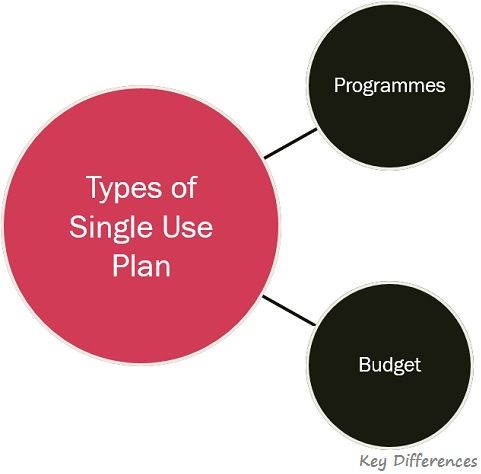 Difference Between Single Use Plan And Standing Plan With Features Examples And Comparison Chart Key Differences