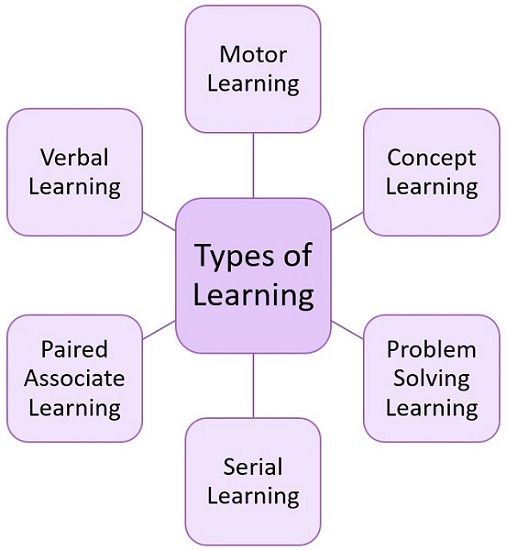 Types of learning - 83 фото