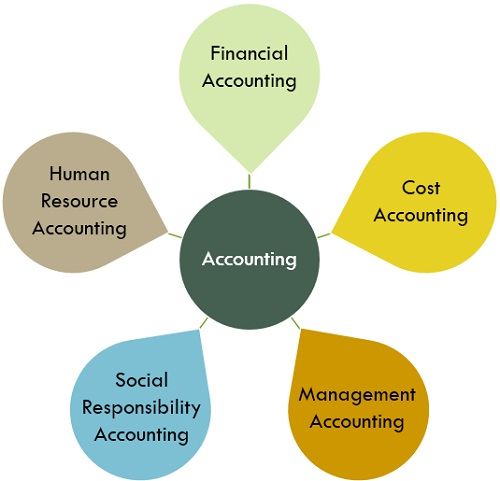 branches-of-accounting