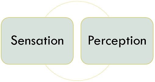 What Is Sensation And Perception In Psychology