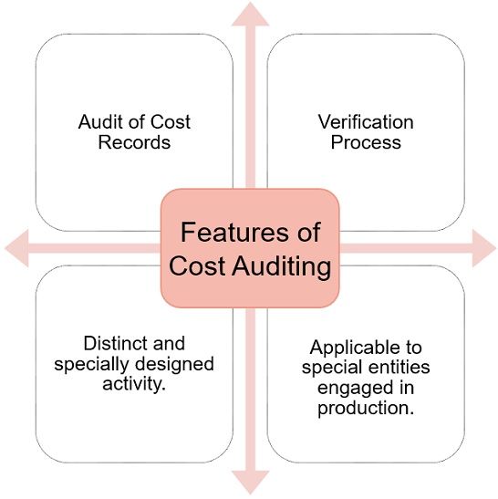 features-of-cost-auditing
