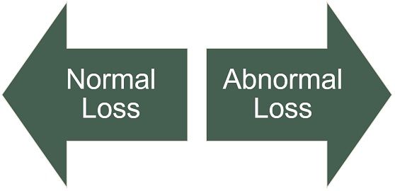 explain-the-different-losses-we-experience