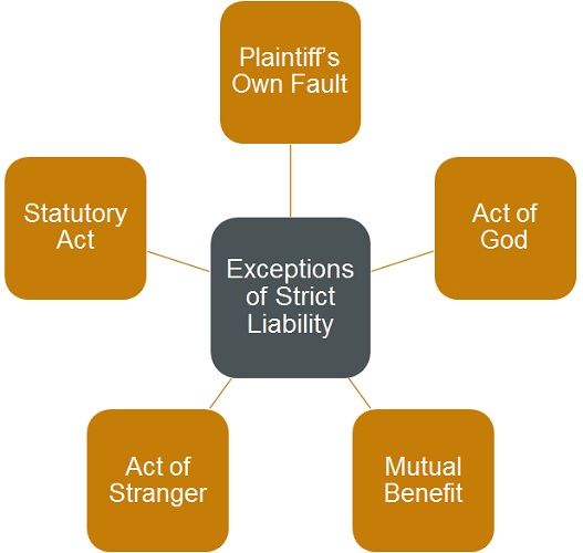 exceptions-of-strict-liability