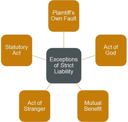 difference-between-strict-liability-and-absolute-liability-with