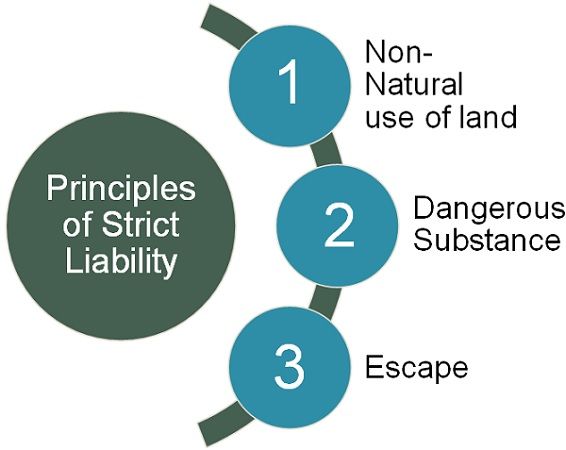 difference-between-strict-liability-and-absolute-liability-with