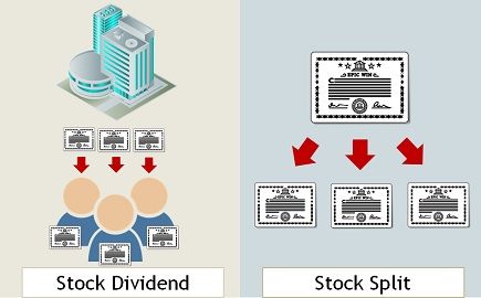 stock-dividend-vs-stock-split