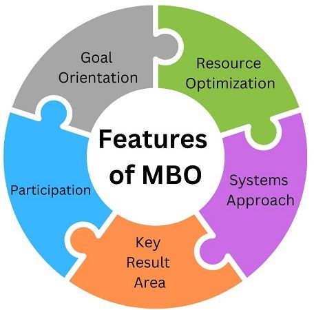 features-of-MBO