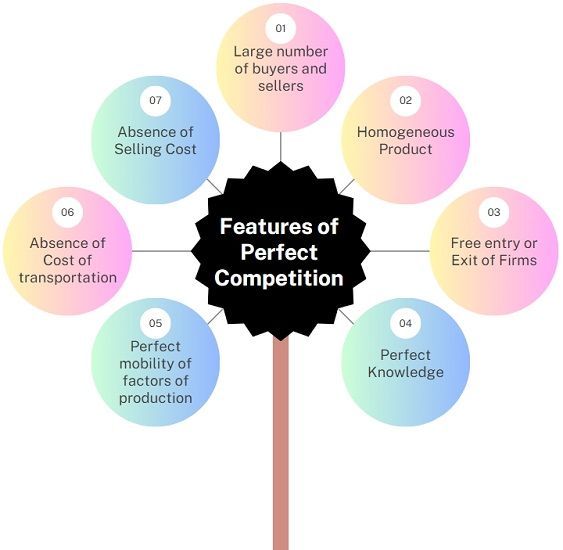 features-of-perfect-competition