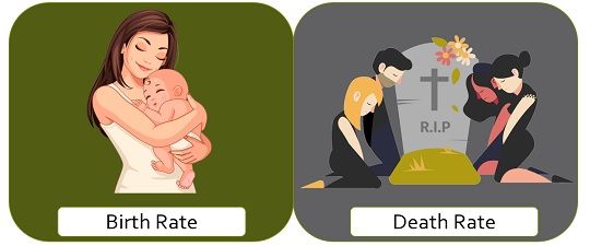 Difference Between Birth Rate And Death Rate with Example Key 